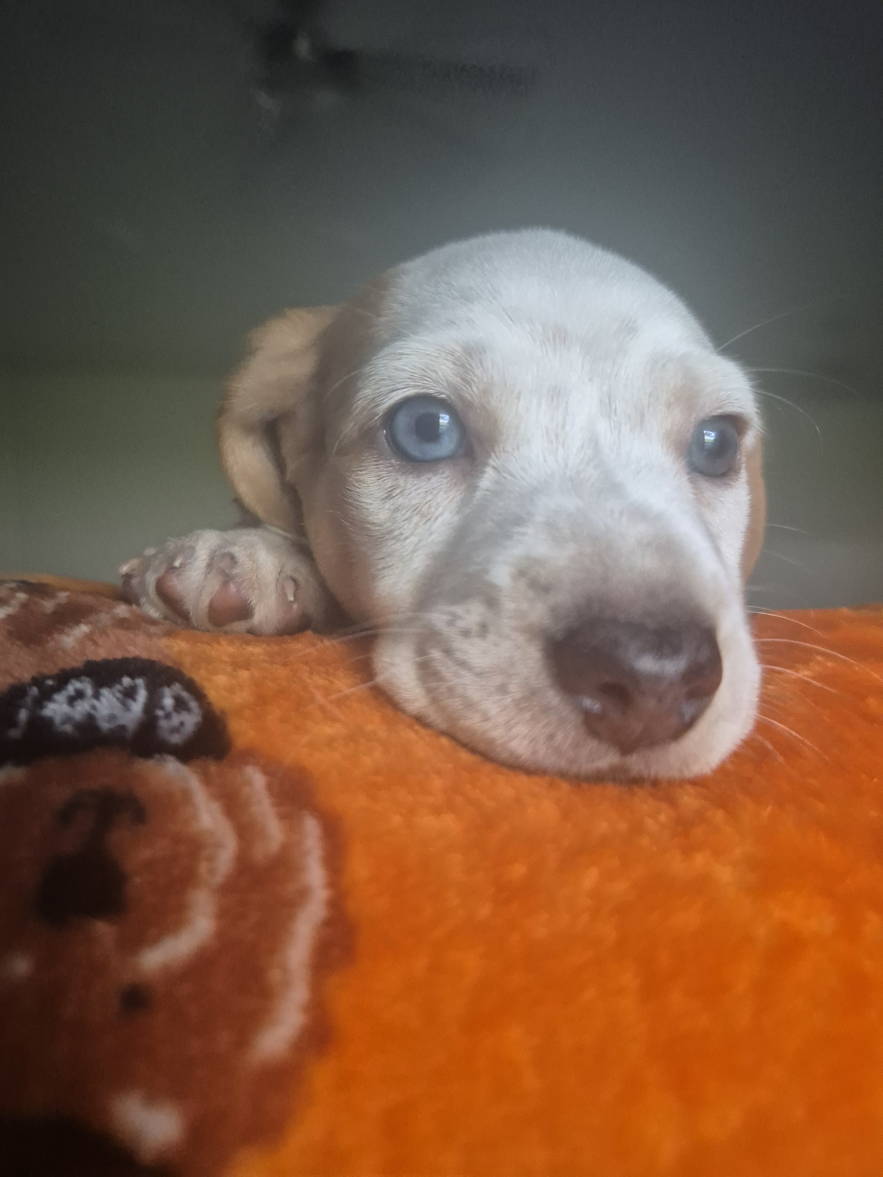 Boy #1