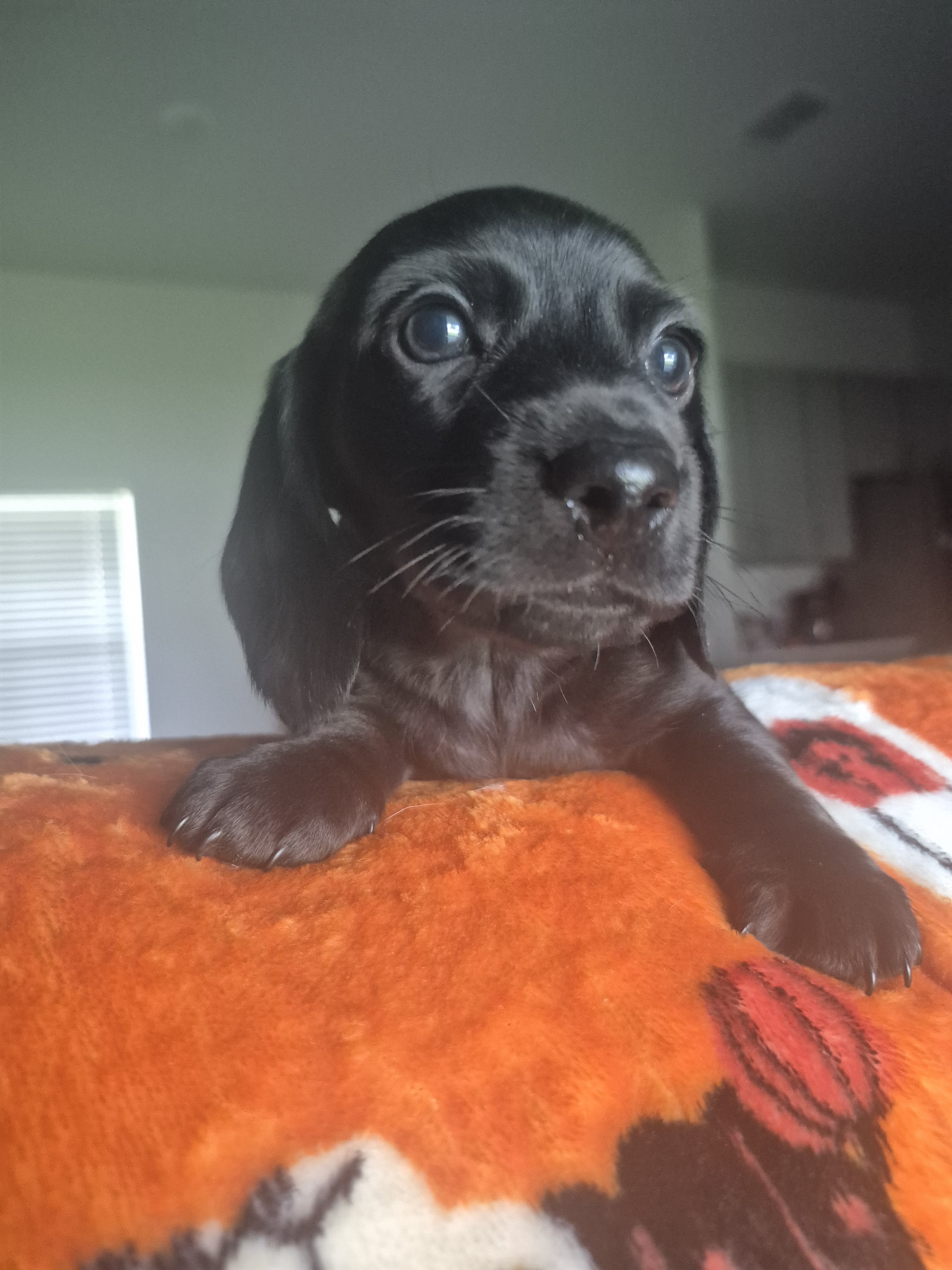 Boy #2