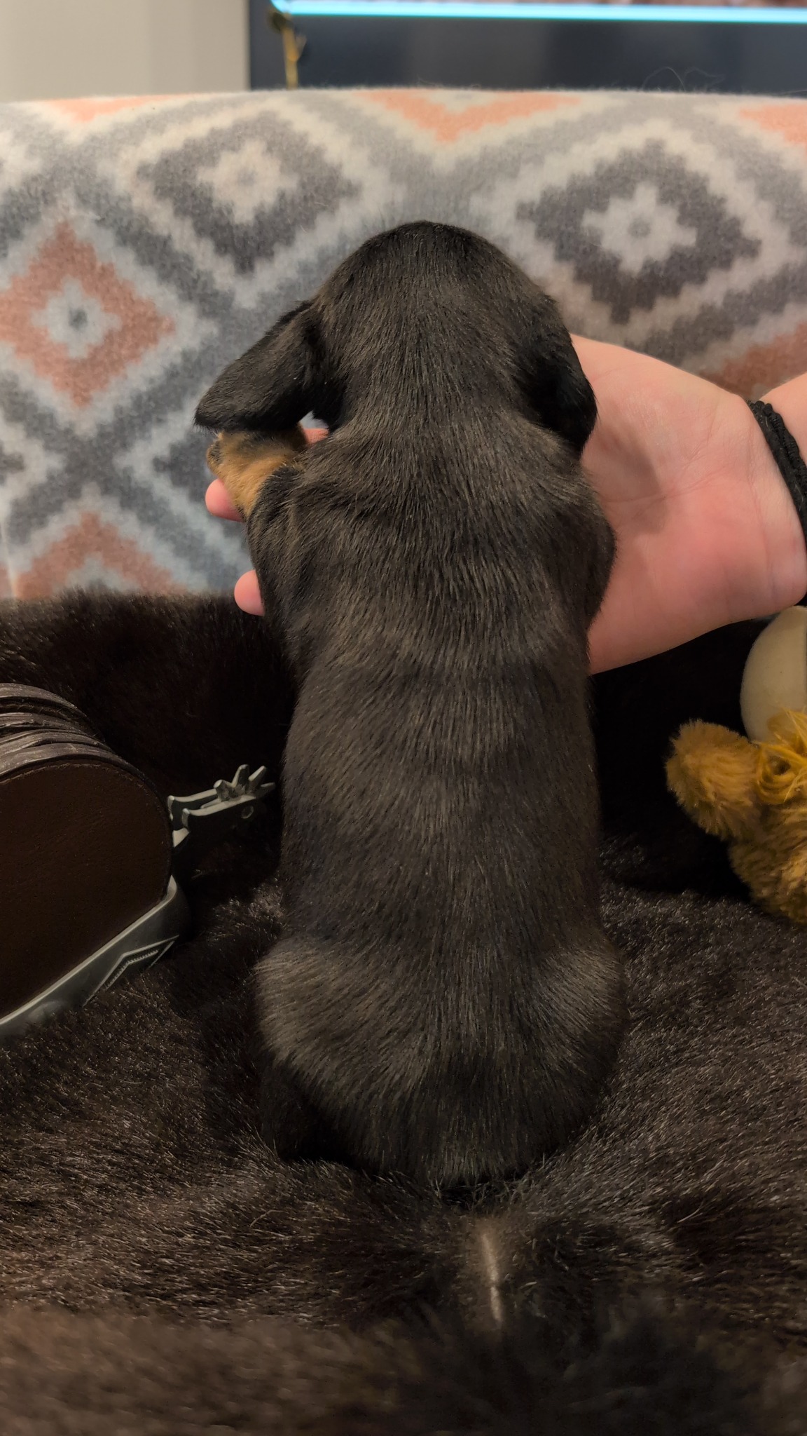 Girl #2 photo 2