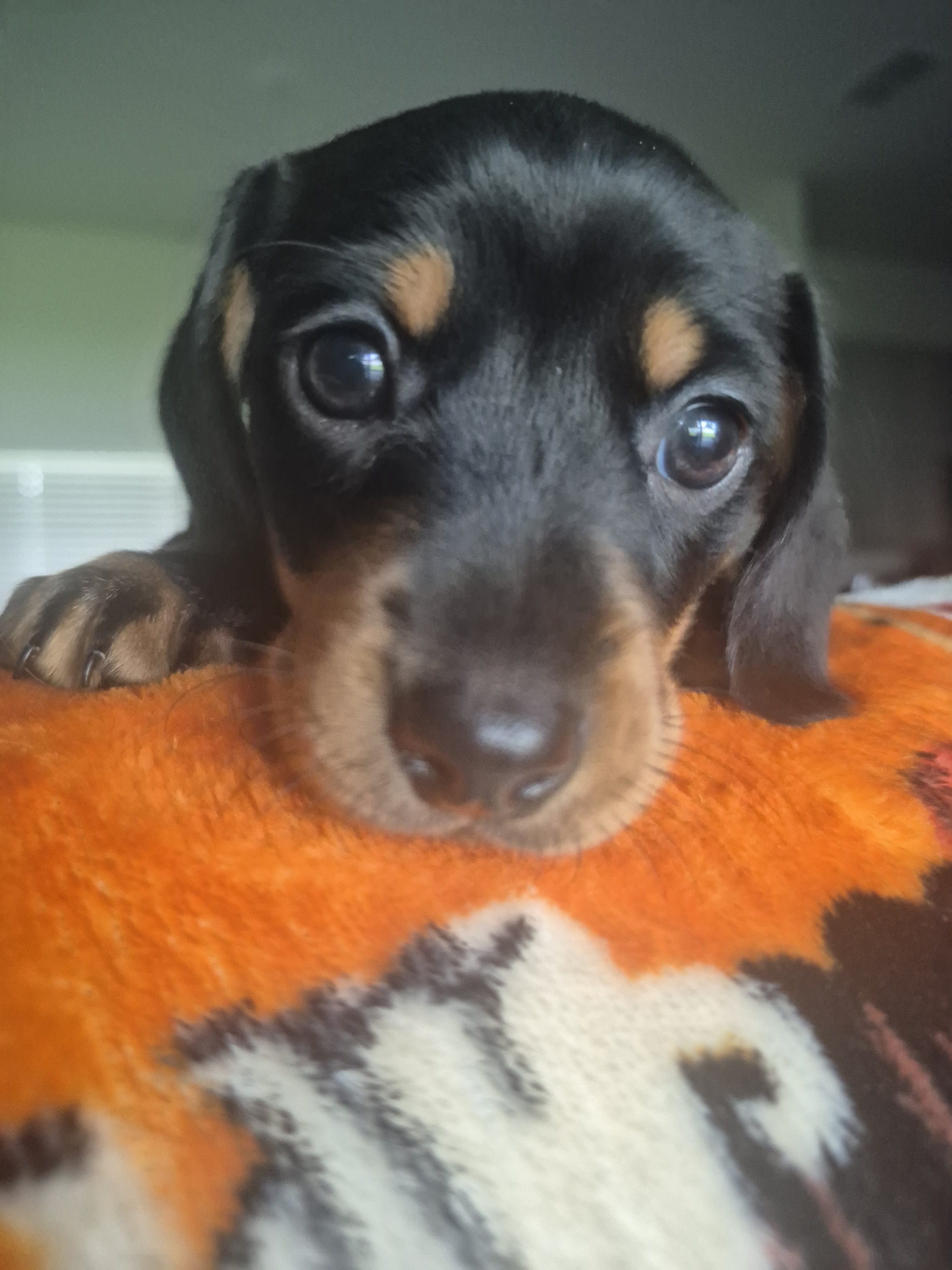 Girl #2